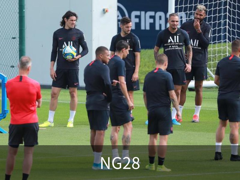 NG28简介